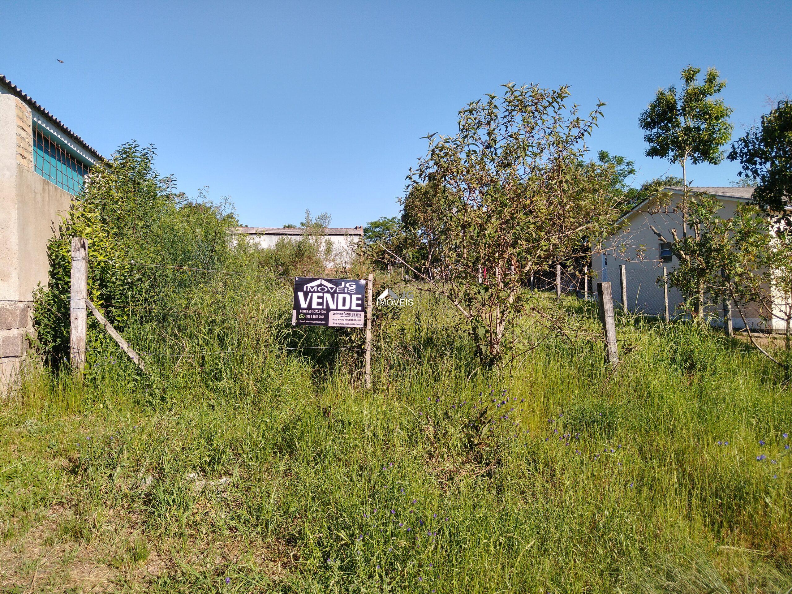 IMG_20201019_162450294_HDR - Copia