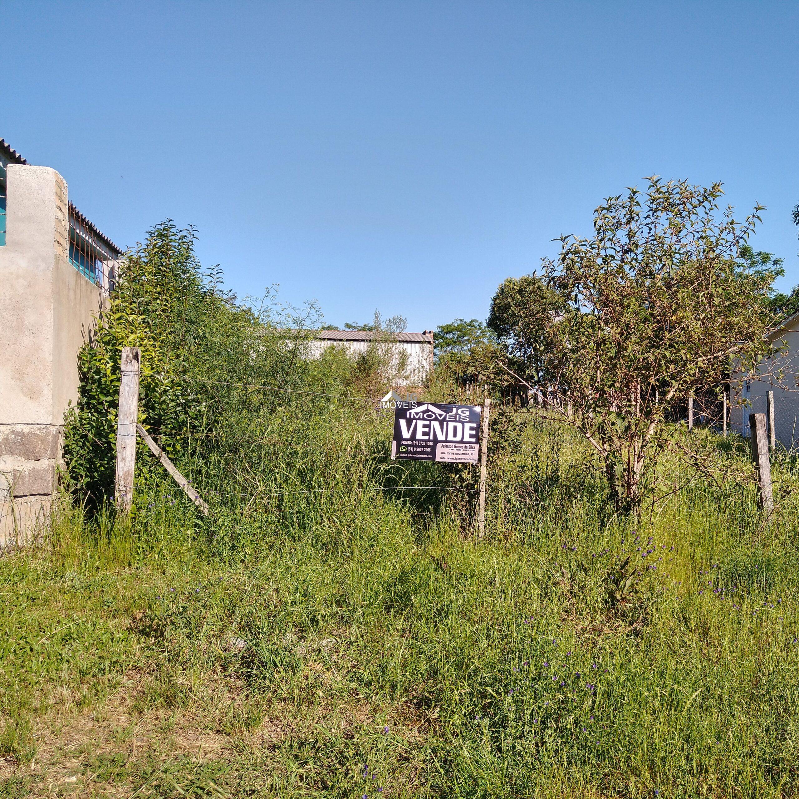 IMG_20201019_162452701_HDR 3