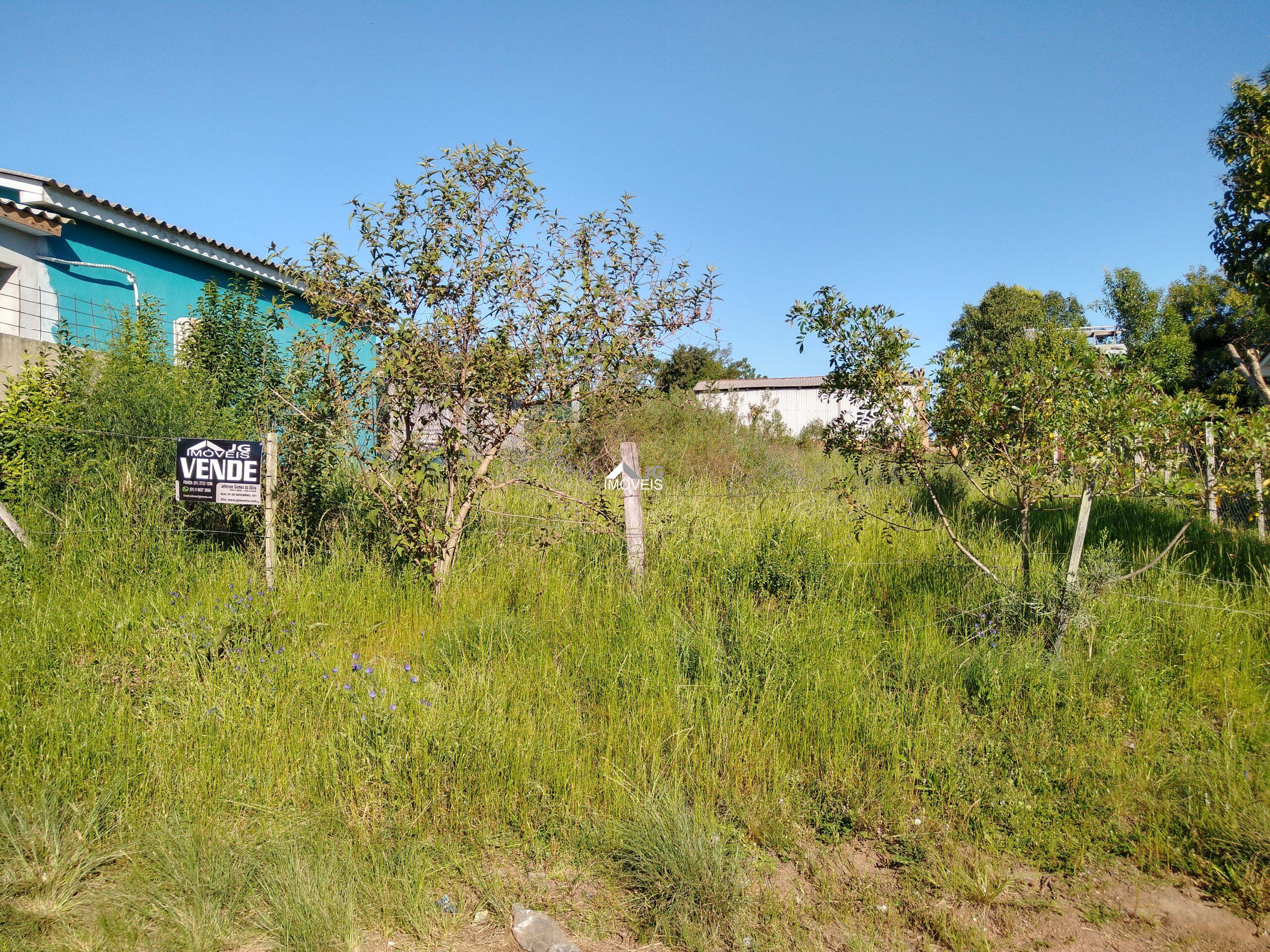 IMG_20201019_162500921_HDR