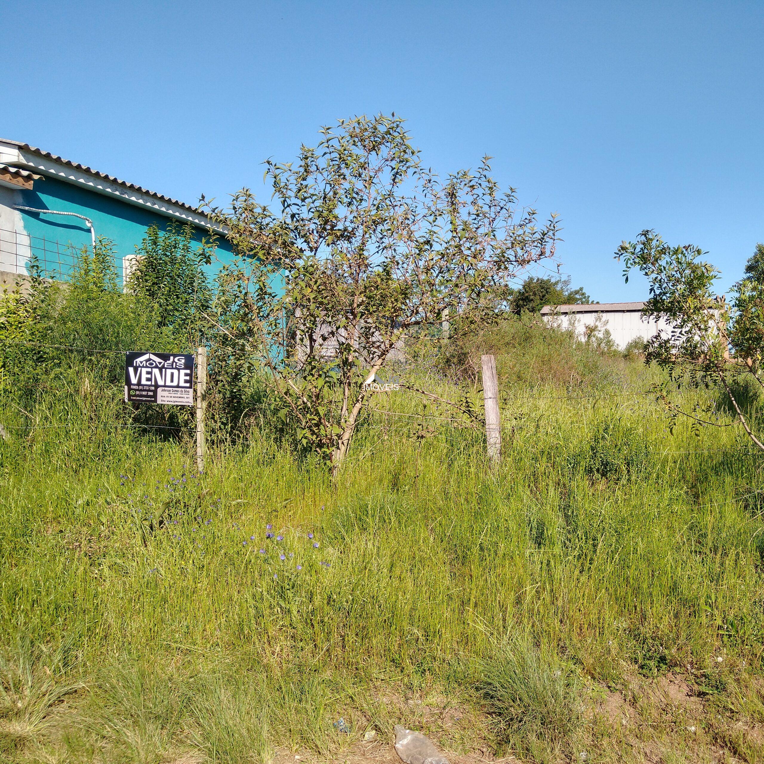 IMG_20201019_162500921_HDR 3