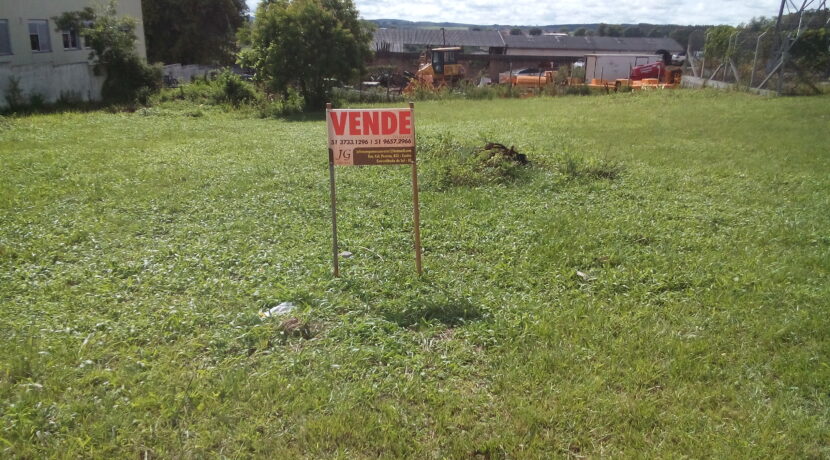 DSC_0011 - Copia (2) - Copia