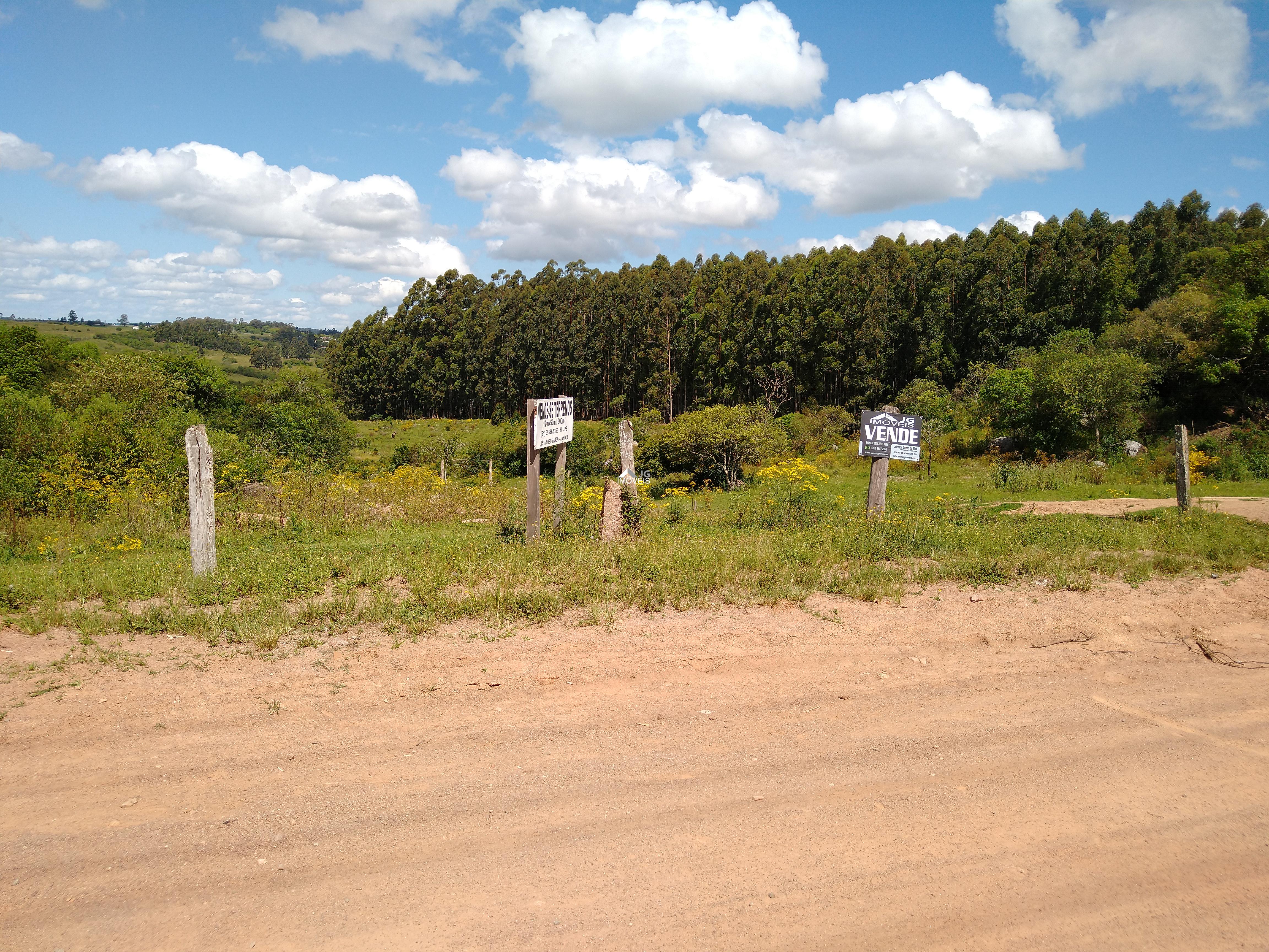 IMG_20201111_144323661 - Copia - Copia