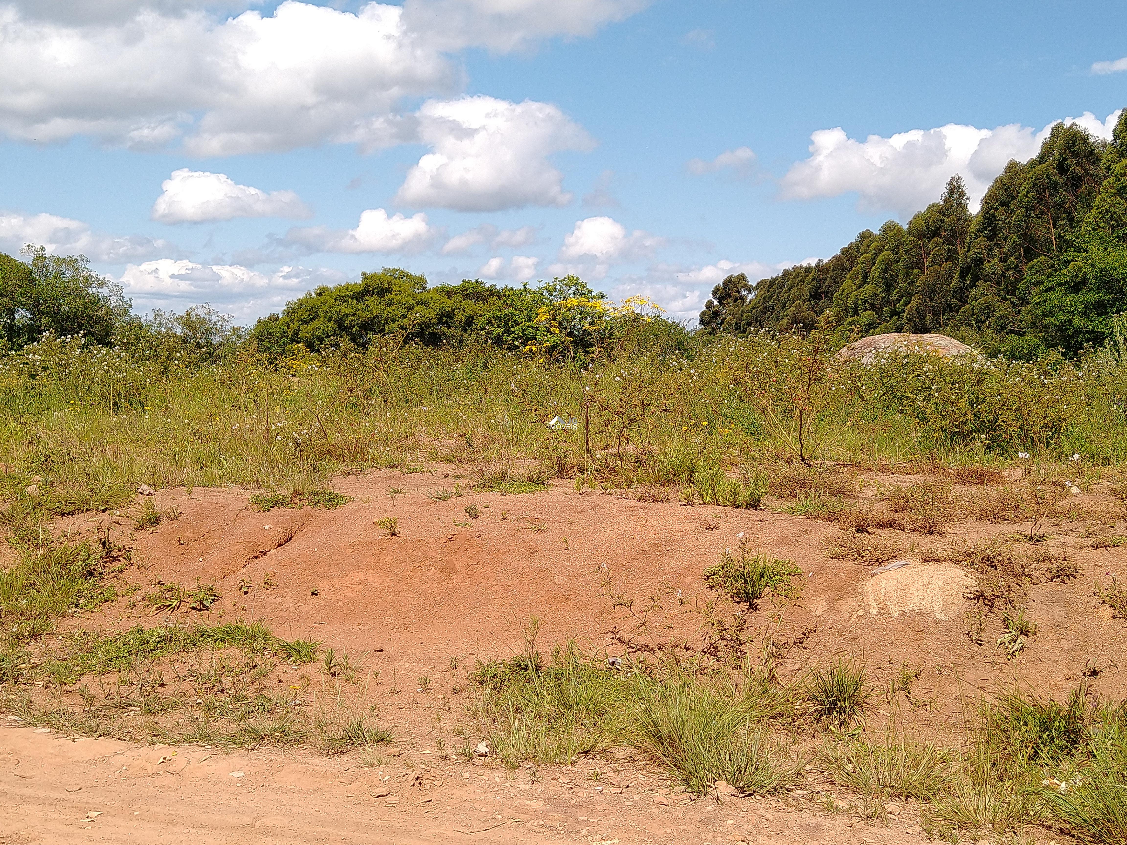 IMG_20201111_144617276