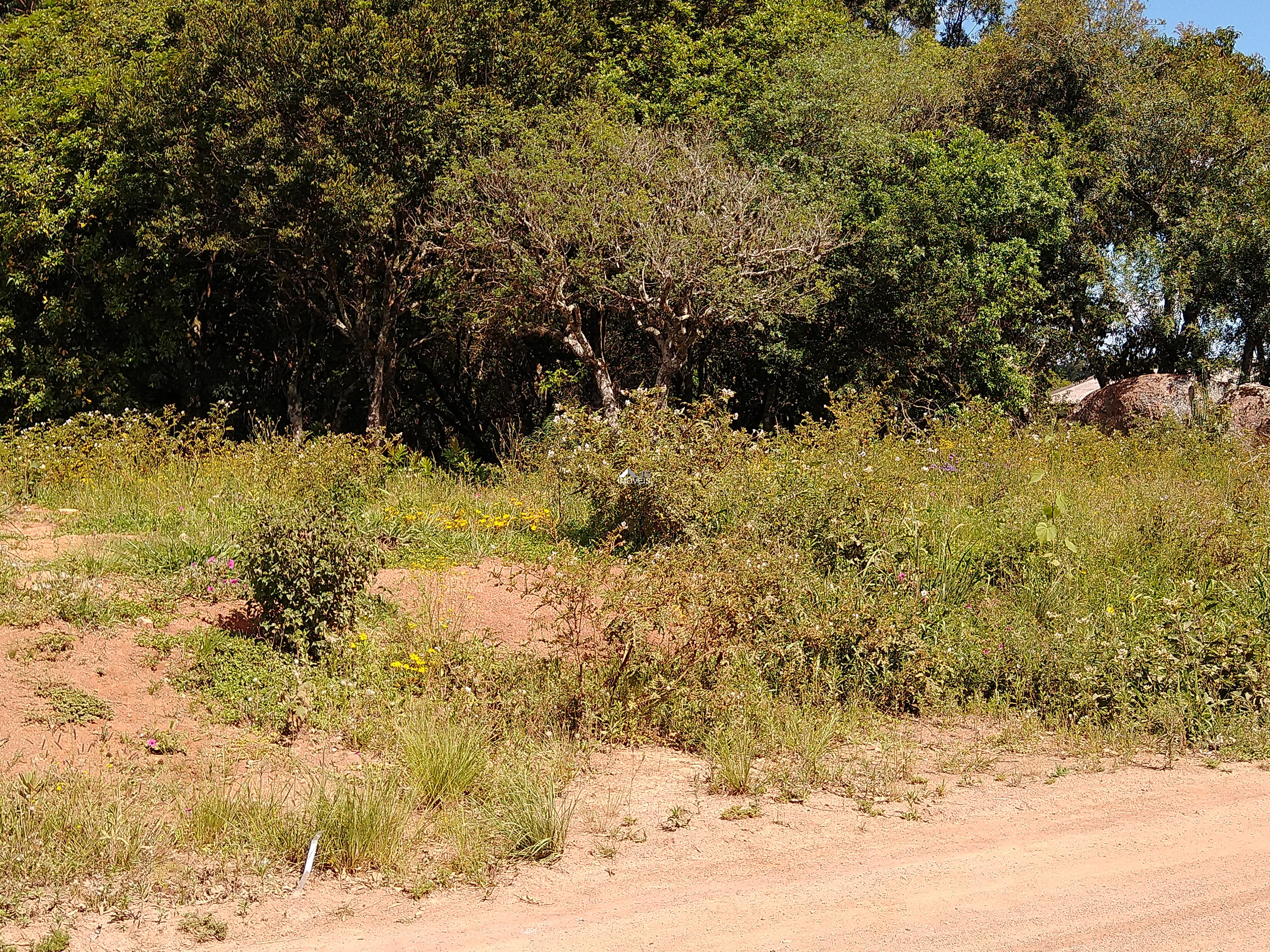 IMG_20201111_144620090