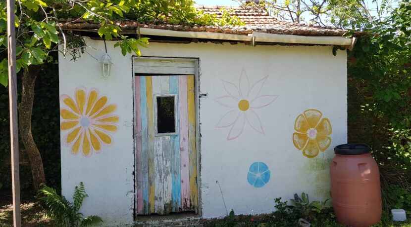 WhatsApp Image 2021-10-25 at 15.03.08 (1)