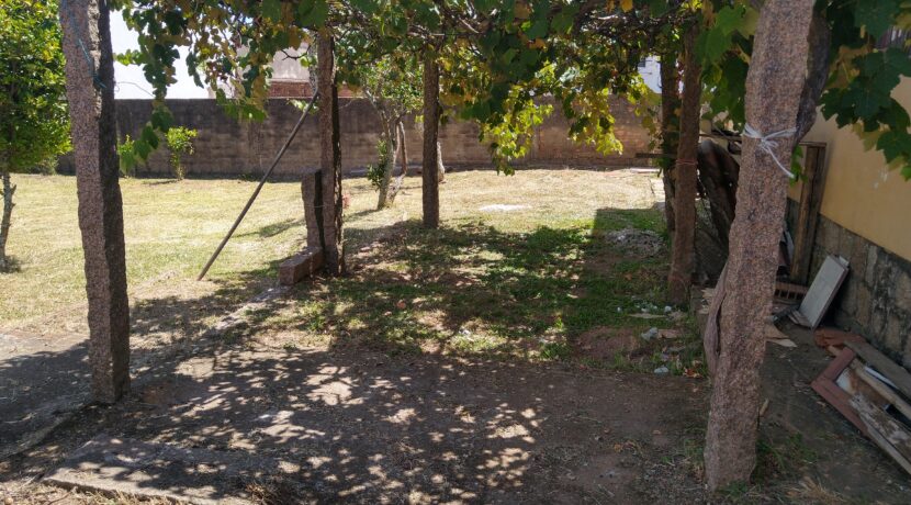 IMG_20221223_105250373_HDR