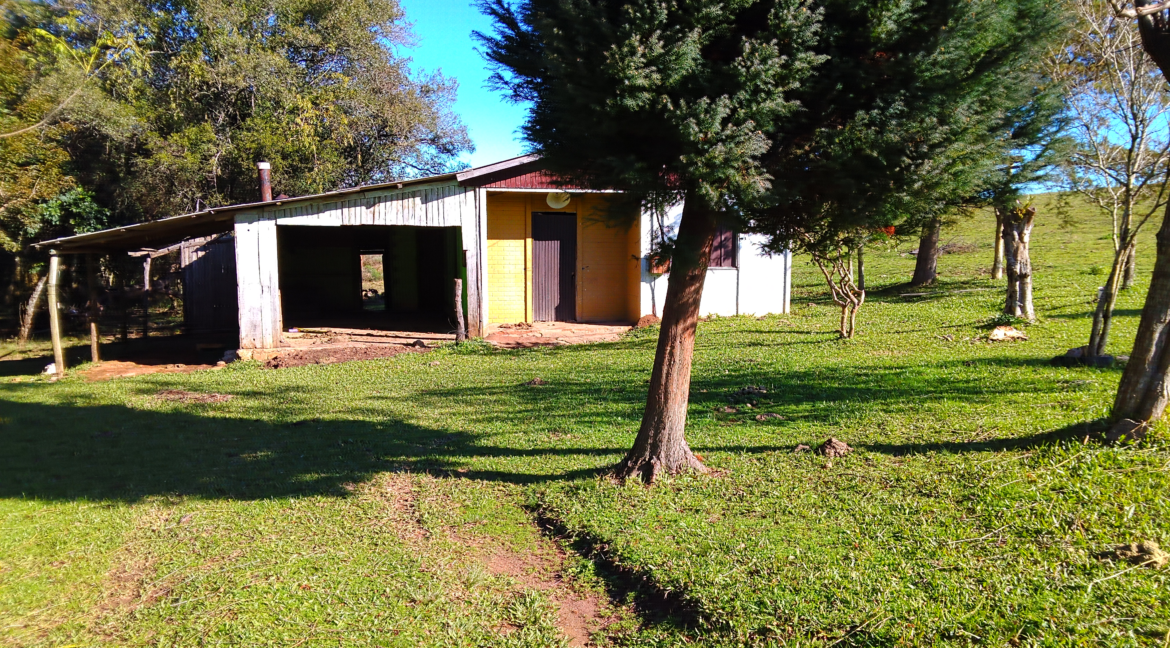 4_1024778965FIMI0087.JPG (1)