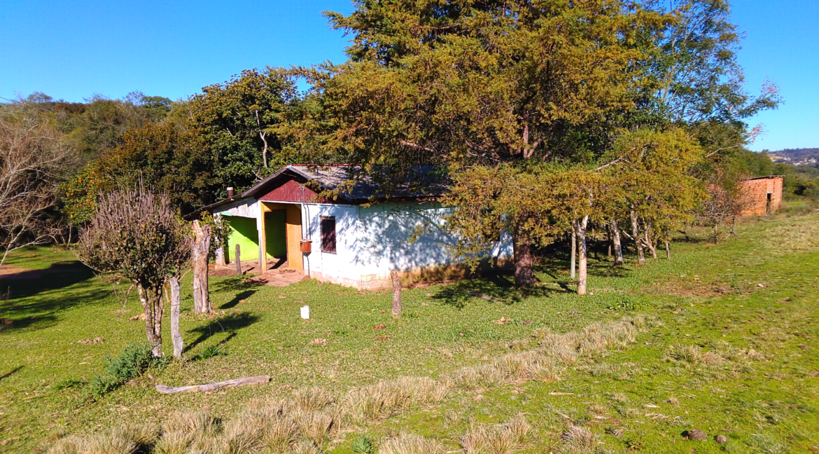 4_814773436FIMI0092.JPG (1)