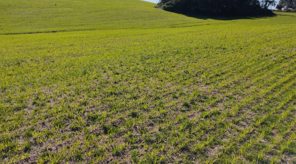 IMG_20230815_153132_1