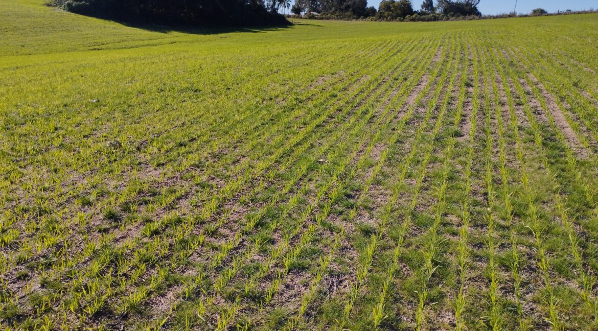 IMG_20230815_153134_1