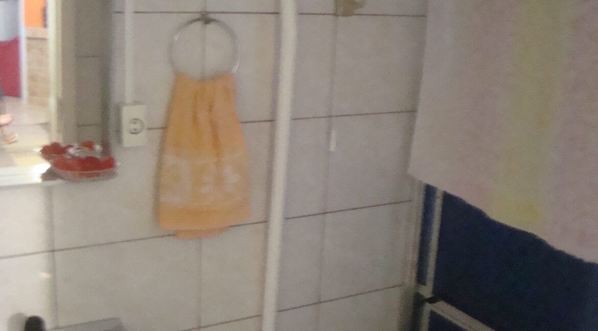 DSC07121