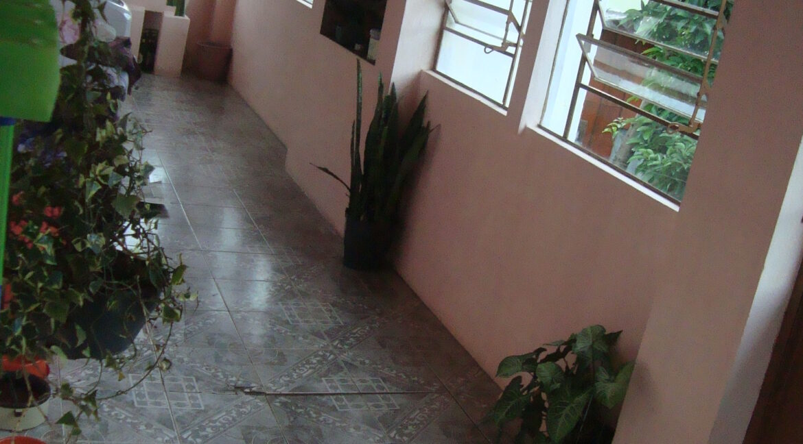 DSC07135