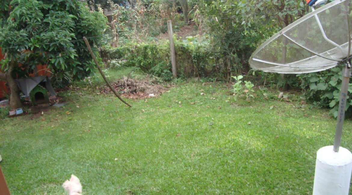 DSC07136