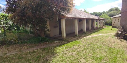 Casa com Três quartos no centro: